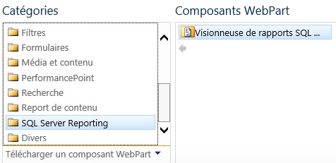 component_ssrs